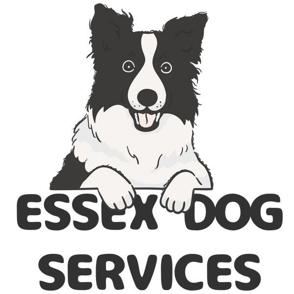 Essex Dog Services