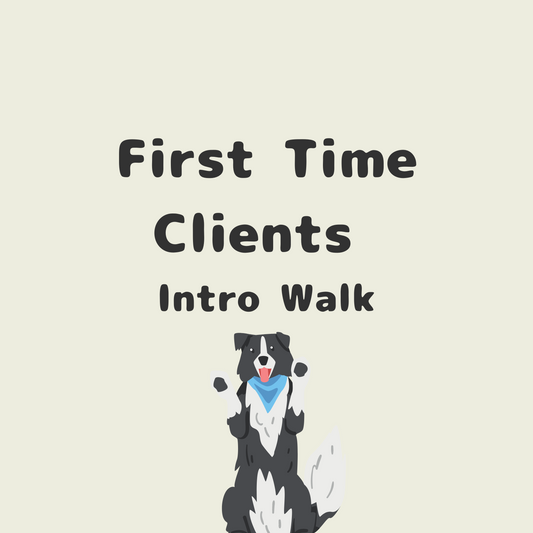Meet & Greet - First Time Clients