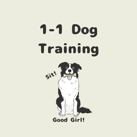 Dog Training 1-1 - 60 Minutes
