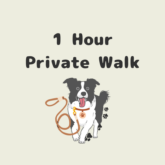 Dog Walk - 60 Minutes - Private