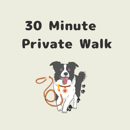 Dog Walk - 30 Minutes - Private