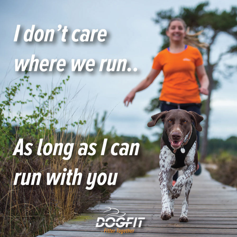 Canicross Taster Session 1-1 with our Certified DogFit Trainer