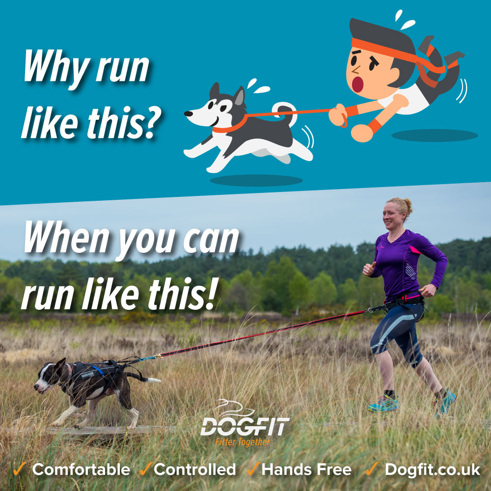 Canicross 5k - Certified DogFit Instructor runs with your Dog 1-1