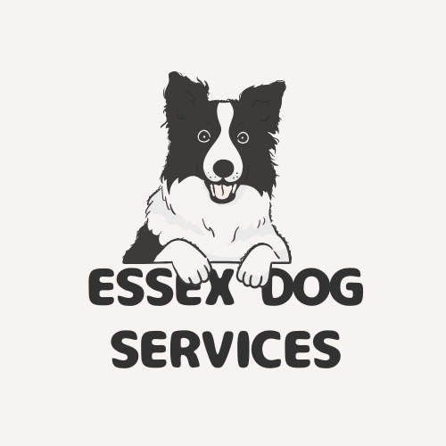 Private Dog Training Session (1 Hour)