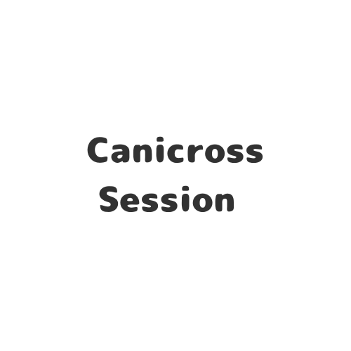 Canicross Running Session 🏃 🐾