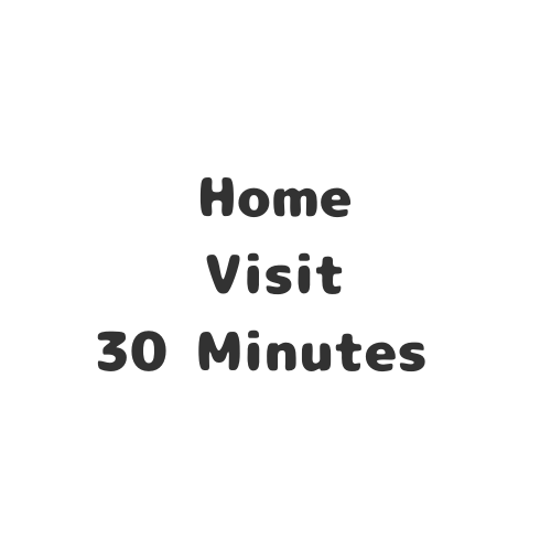 Home Visit